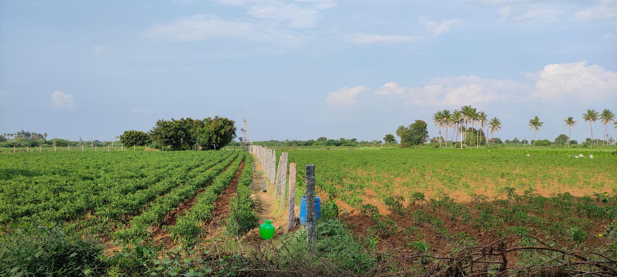 Agricultural land