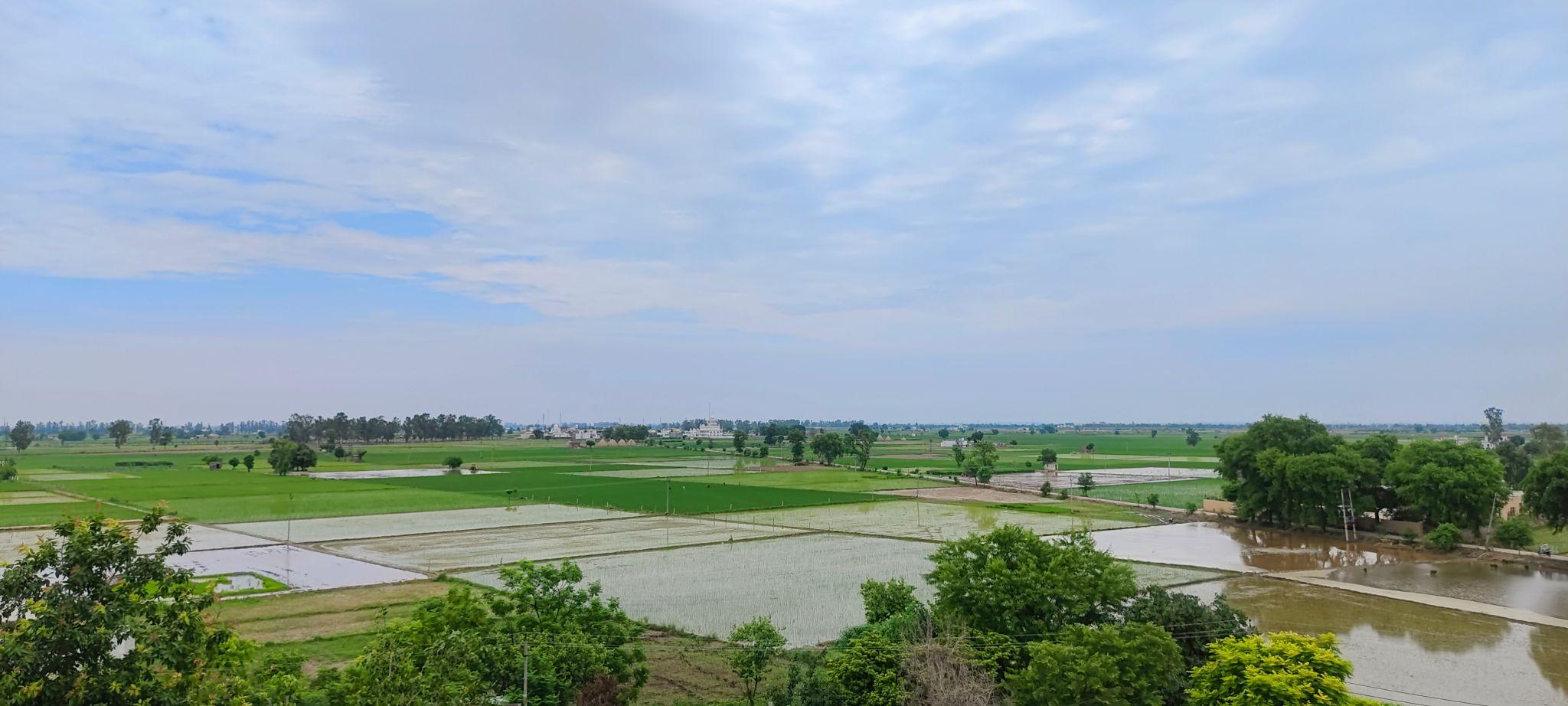 Cultivation land plot